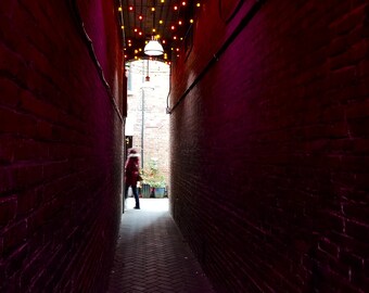 Fan Tan Alley Historic Chinatown Tiny Walkways Downtown Victoria BC Small Business NEW Pink Skull Exclusive Snail Mail Revolution Postcard