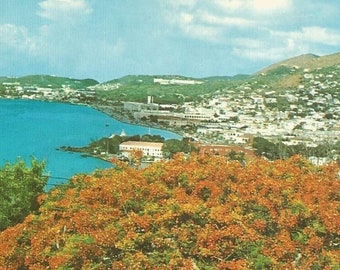 US Virgin Islands St Thomas Magens Bay Charlotte Amalie Beautiful Beach Flora Scenic Postally Unused Dexter Press Vintage Postcard Set of 3