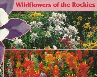 Vintage 1990s Postcard Wildflowers Rocky Mountains Columbine Indian Paintbrush Photo View Photochrome Era Postally Unused