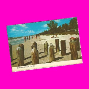 Florida Vintage 1950er Jahre Postkarte Beach Cookout Beachcombing Super Retro Picknick Date Freche Badeanzüge Photochrome Postal unbenutzt