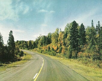 Vintage 1950s Postcard Autumn Leaves Highway Road Trip Roadside America Pretty Scenic View Photochrome Card Postally Unused