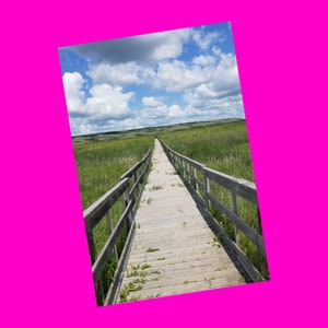 Boardwalk Buffalo Pound Provincial Park Saskatchewan Canada Petites entreprises de l'Alberta NOUVELLE carte postale exclusive Révolution rose crâne rose