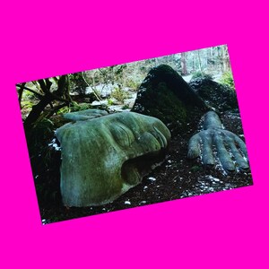 Moss Lady Victoria BC Beacon Hill Park Winter Frost Mud Maiden Sister Petite entreprise NOUVELLE carte postale exclusive PinkSkull Snail Mail Revolution
