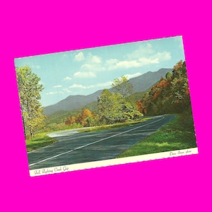 Tennessee vintage jaren 60 ansichtkaart Great Smoky Mountains National Park Fighting Creek Gap herfstbladeren fotochroom tijdperk postaal ongebruikt