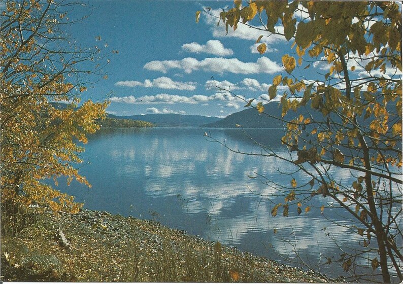 Vintage 1980s Postcard Francois Lake British Columbia BC Canada Northern Interior Scenic Mountain View Photochrome Postally Unused