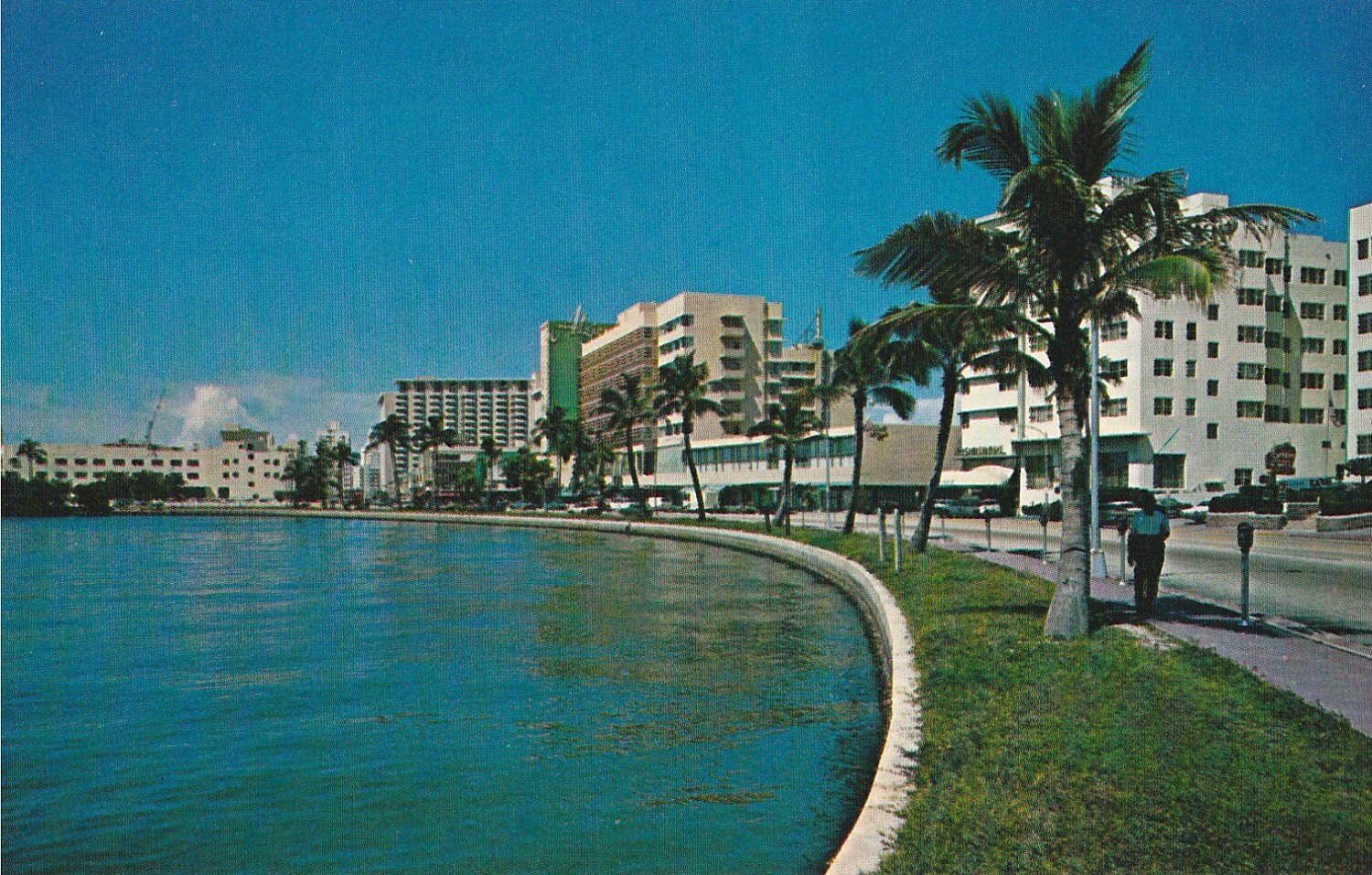 Miami Beach Skyline at Night Miami Florida Postcard 