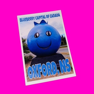 Carte postale authentique du crâne rose d'Oxford en Nouvelle-Écosse, la plus grande capitale du monde du bleuet du Canada, souvenir touristique, attraction en bord de route