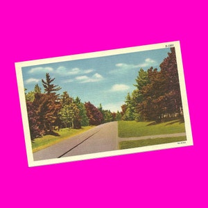Vintage jaren 1950 ansichtkaart schilderachtige rijbaan herfstbladeren kleurrijke heldere road trip herfstkleuren kaart curt Teich linnen tijdperk post ongebruikt