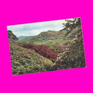 Wales Cymru Reino Unido Reino Unido Vale of Festinion Maentwrog Marionethshire Hand Color Tint Coleccionable 1930s Postal Vintage sin usar