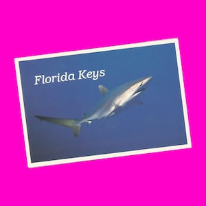 Florida Keys Vintage ansichtkaart Overseas Highway Bridge Ocean Shark boten in Marina Multiview fotochroom postaal ongebruikt meer stijlen