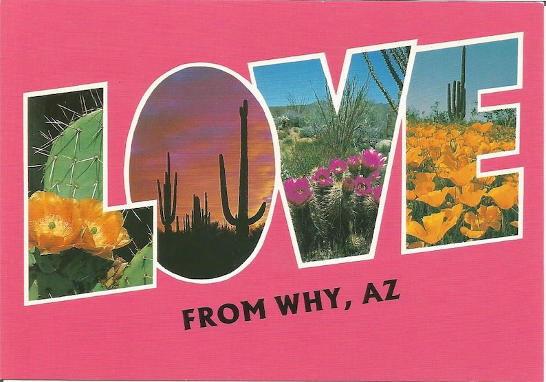 Vintage Postcards Why Arizona Coyote Animal Flora Cactus Flowers Poppies United States USA Photochrome Postally Unused More Styles