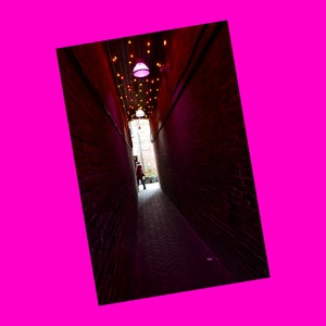 Fan Tan Alley Quartier chinois historique Tiny Walkways Centre-ville de Victoria, C.-B. Petite entreprise, NOUVELLE carte postale exclusive Pink Skull Snail Mail Revolution