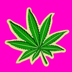 Puede incluir: Una hoja de marihuana verde con un contorno amarillo sobre un fondo rosa.