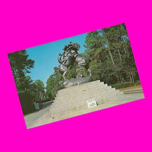 Carte postale vintage des années 1950 en Caroline du Sud Brookgreen Gardens Fighting Stallions Statue Art Myrtle Beach USA Photochrome Epoque postale non utilisée