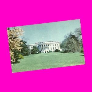 Carte postale vintage des années 1950 Washington DC