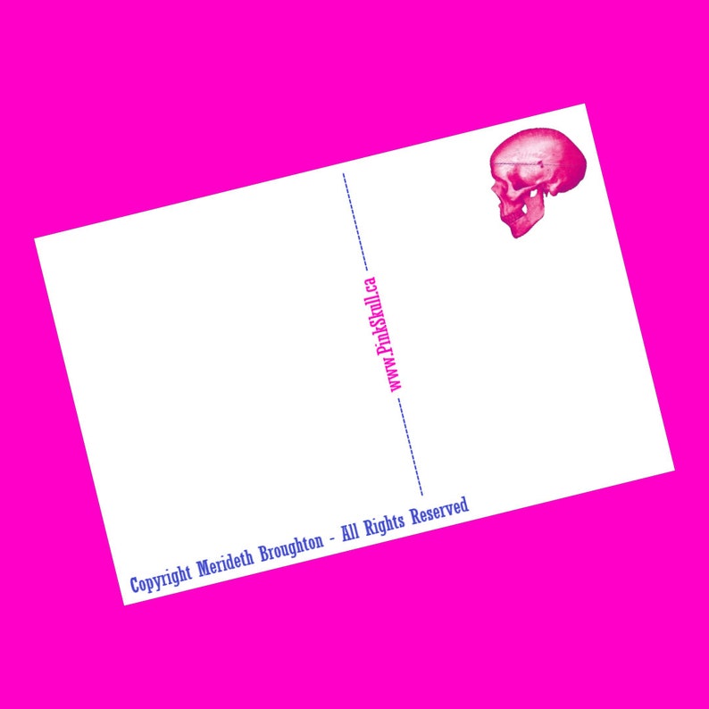 Rainbow Pride Flags Gay Icons Ally Small Business 2SLGBTQ Snail Mail Revolution Pink Skull NEW Postcard image 2