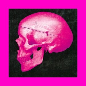 3 stickers voor vijf dollar - Verkoop van enkele sticker Bulkkorting Elke enkele sticker - Roze schedel - Kyoto Junk Shop - Uw keuze