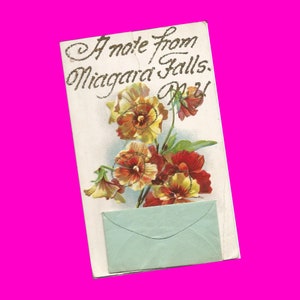 New York Vintage 1910s Postkarte Niagara Falls Vereinigte Staaten Amerika USA Petunia Blumen Glitter Geprägte geteilte Ära Postal unbenutzt