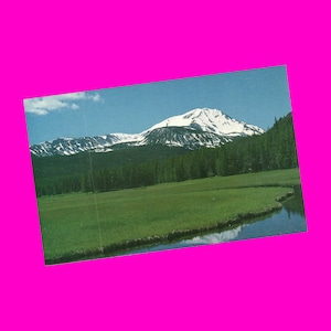 Carte postale du Montana des années 1950, forêt nationale de Deerlodge, forêt de Beaverhead, nature propagande protestation montagnes pittoresque photochrome non utilisé