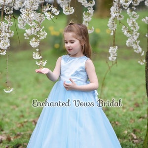 Blue Princess Dress, Flower Girl Dress, Cinderella Dress, Party Girl Dress, Tutu Dress, Pageant Dress, Girl Ball Gown, Princess Flower Girl