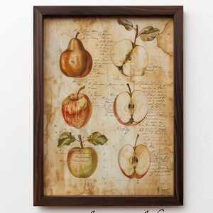 Fruit Study Sketch | Vintage Botanical Wall Art | Digital Kitchen Decor | Antique Fruit Illustration | Printable Download