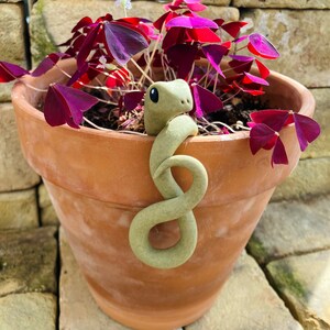 Pot Hanging Snake Plant Accessory