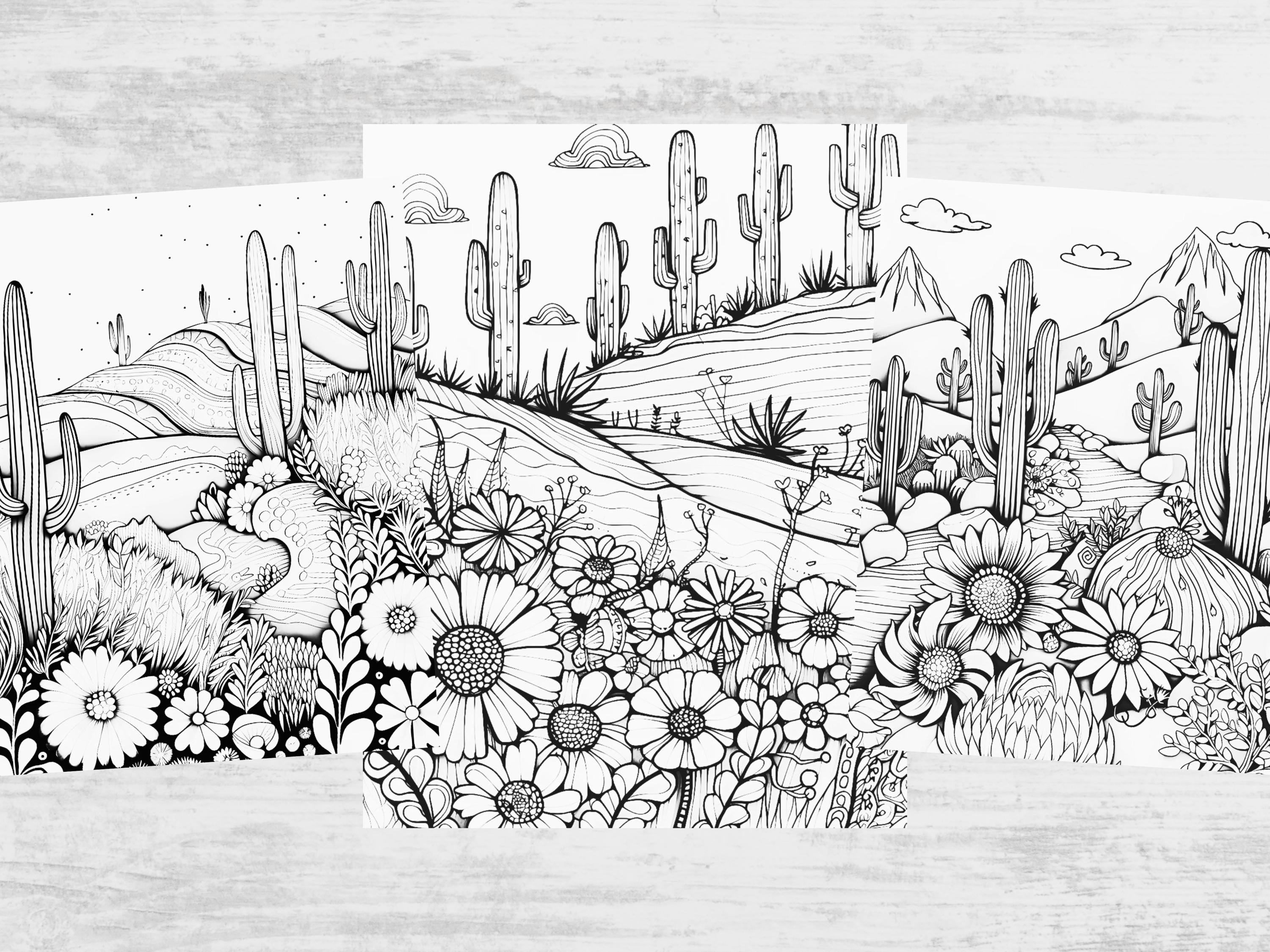Desert Landscape Coloring Pages – Cactus & Sunset, Zentangle Art ...
