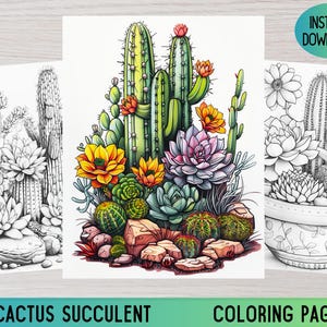 Cactus Coloring Page, Cactus coloring Book, Adult Coloring, Printable Coloring, Grayscale coloring, Digital Coloring, Colouring Pages, Pdf