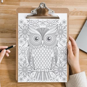 Owl Coloring Pages, Owl Coloring Sheets, Adult Owl Coloring Pages, Owl