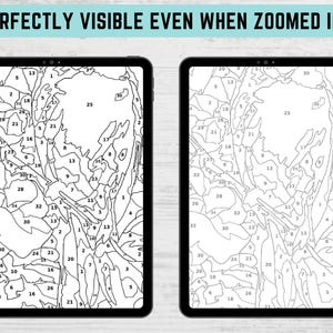 May include: Two digital tablets displaying a paint-by-numbers design. The design is a detailed, abstract image with numbered sections. The text "PERFECTLY VISIBLE EVEN WHEN ZOOMED IN!" is at the top. The image is in black and white.