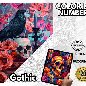 May include: Digital art print with a raven on a skull, floral backdrop, and the text "Color by Numbers". Includes "Printable" and "Procreate" text. The design has a gothic theme with 20 designs.