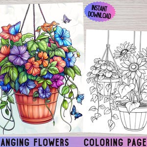 Peut inclure: Une page à colorier représentant deux pots de fleurs suspendus. Le premier pot est rempli de fleurs colorées, dont du violet, du bleu, de l'orange et du rose. Le deuxième pot est rempli de tournesols. Les deux pots sont suspendus à une corde. Le texte "Hanging Flowers Coloring Pages" est en bas de la page.