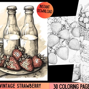 Vintage Strawberry shortcake coloring book, Strawberry shortcake coloring, Coloring book to print, vintage coloring book,Adult coloring book