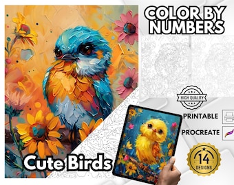 Birds Color by Number Coloring Book, Birds and Flowers, Relaxing Coloring, Adult Coloring, Easy Coloring, Paint by Numbers, Cute Birds
