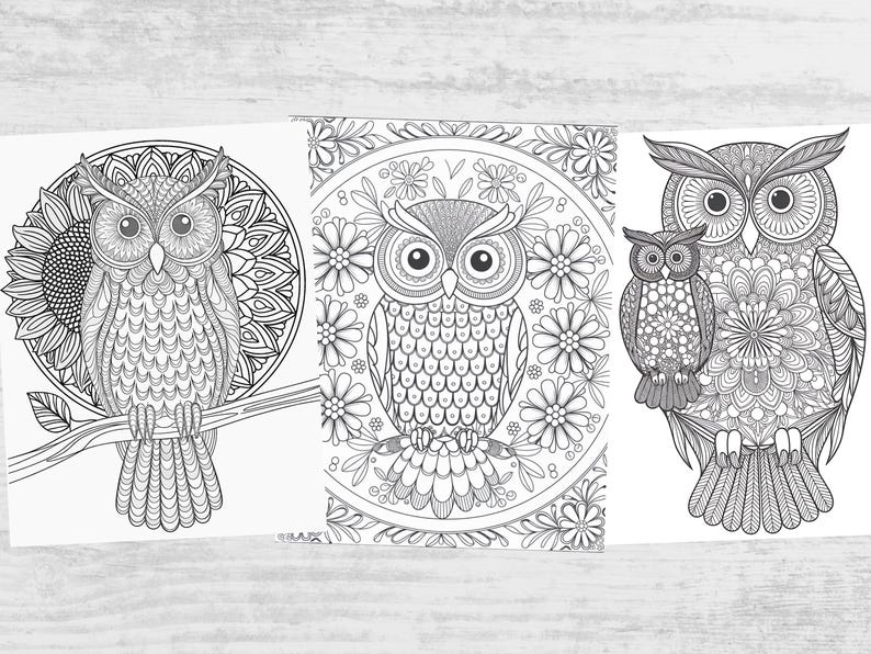 Owl Coloring Pages, Owl Coloring Sheets, Adult Owl Coloring Pages, Owl