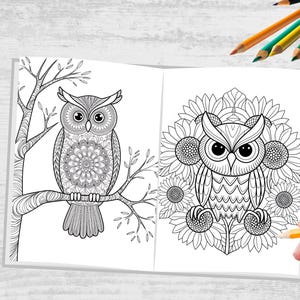 Owl Coloring Pages, Owl Coloring Sheets, Adult Owl Coloring Pages, Owl