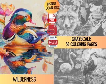 Wilderness Grayscale Coloring Book, Animals & Nature (PDF)