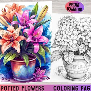 Flower coloring book, Potted flowers, Plant coloring pages, Grayscale coloring, Flower coloring pages, Floral coloring pages, Adult coloring