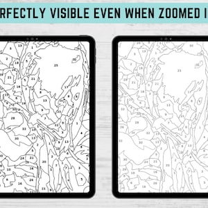 May include: Two digital tablets showing a paint-by-numbers design. The design is a detailed, abstract image with numbered sections. The text "PERFECTLY VISIBLE EVEN WHEN ZOOMED IN!" is at the top. The image is in black and white.