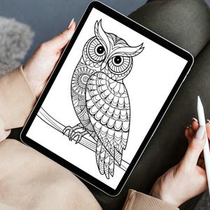 Owl Coloring Pages, Owl Coloring Sheets, Adult Owl Coloring Pages, Owl