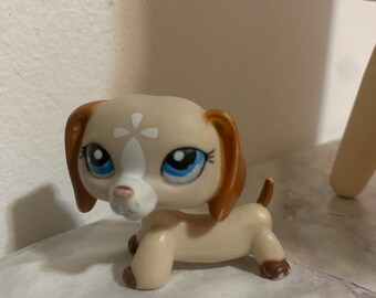 LPS dog 2006