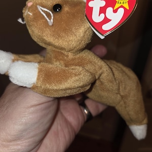 May include: A brown plush cat toy with white accents on the paws and ears. The toy has a red heart-shaped tag that reads "Beanie Original Baby" with the "ty" logo.