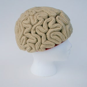 Crochet Pattern, Brain Beanie, Brain Hat, Crochet Brain, Science Crochet, Crochet Halloween Costume, March For Science, Zombie Crochet image 4