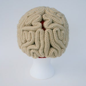 Crochet Pattern, Brain Beanie, Brain Hat, Crochet Brain, Science Crochet, Crochet Halloween Costume, March For Science, Zombie Crochet image 5