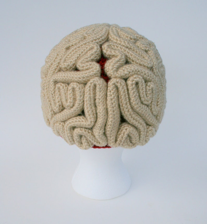 Crochet Pattern, Brain Beanie, Brain Hat, Crochet Brain, Science Crochet, Crochet Halloween Costume, March For Science, Zombie Crochet image 5