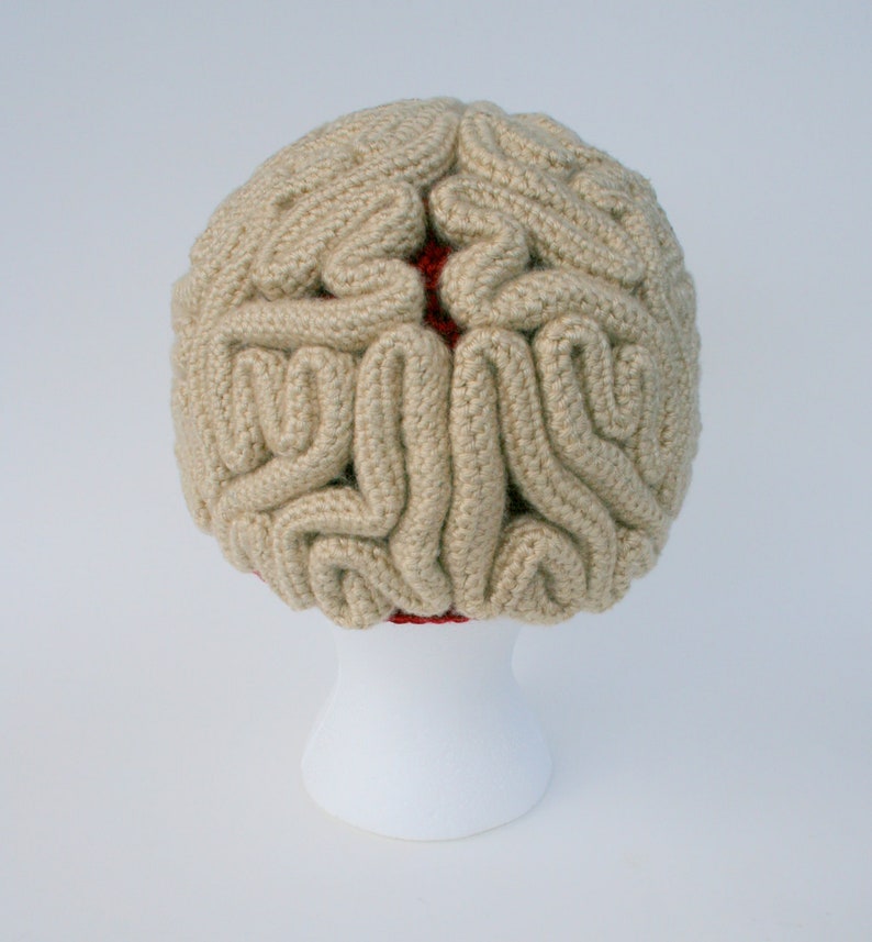 Crochet Pattern, Brain Beanie, Brain Hat, Crochet Brain, Science Crochet, Crochet Halloween Costume, March For Science, Zombie Crochet image 3