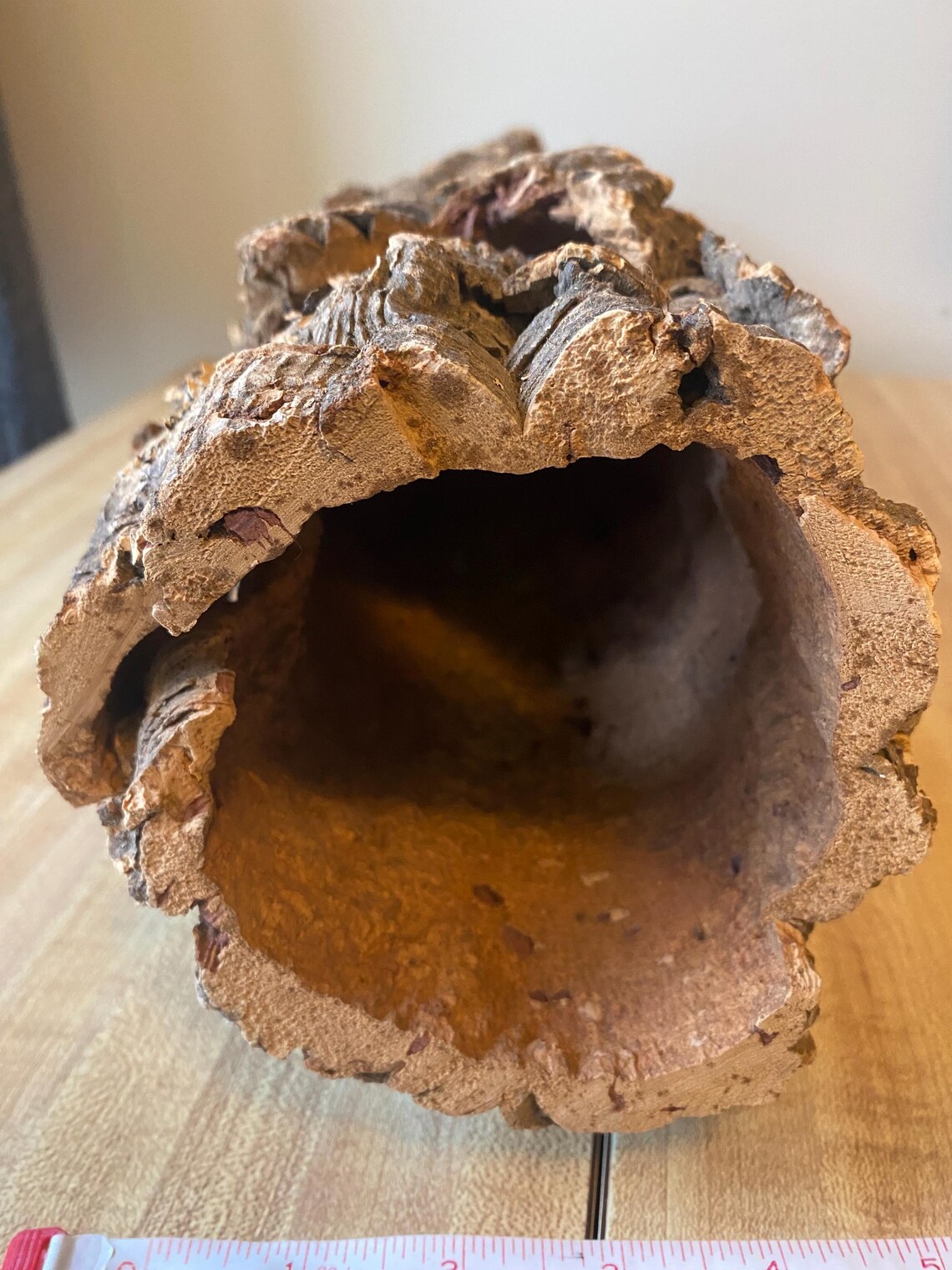 Huge Cork Bark Round Show Piece Log Hole Hamster Hide Tunnel Terrarium ...