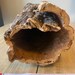 Huge Cork Bark Round Show Piece Log Hole Hamster Hide Tunnel Terrarium ...