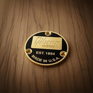 Custom Shop Style Toggle Switch Back Plate fits Gibson Les Paul, Gold & Black