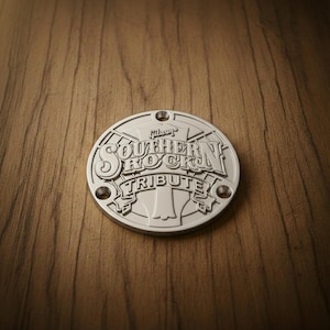 Piastra posteriore per chitarra Southern Rock in argento, adatta per Gibson Les Paul Switch